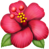 Flower Necklaces